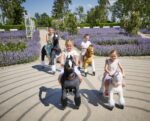 Ponnie Ebony M Reitpferd mit Rollen – Mechanisches Spielpferd für Kinder 5-12 Jahre – Bild 9