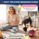 Lixdee Schnüffelball für Hunde – Intelligenzspielzeug mit 4 Schwierigkeitsstufen – Bild 9