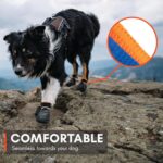 Non-stop dogwear Protector Bootie M – Wasserdichte Hundeschuhe mit Antirutsch für aktive Hunde – Bild 7