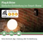 Paulmann Plug & Shine Zigbee Controller – SmartHome Aussenleuchten-Steuerung IP68 – Bild 5