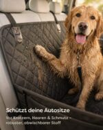 Knupis Hundeautositz für Rückbank – Sicherer Autoschutz für mittlere & grosse Hunde – Bild 4