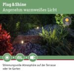 Paulmann Plug & Shine Plantini LED Außenleuchte Set – 3000K Warmweiss für Garten – Bild 3