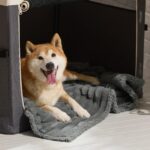 BEDSURE Wasserdichte Hundedecke 102x127cm – Waschbar & Flauschig für grosse Hunde – Bild 8