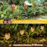 Görvitor LED Solarleuchten 2er Set – Orientalische Gartenlampen mit IP65 Wasserschutz – Bild 4
