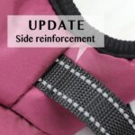 Aiboria Hundejacke L – Winddicht & Wasserdicht Wintermantel für kleine Hunde – Bild 4