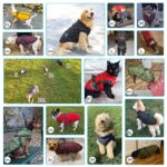Savlot Hundejacke mit integriertem Geschirr – Wasserdichte Winterweste für kleine & mittlere Hunde, Grösse L – Bild 4