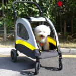 BingoPaw Hundewagen bis 20kg – Faltbarer Hundetrolley mit Bremse & Netzfenstern