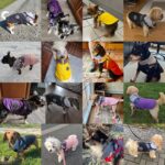 Savlot Hundejacke Grösse L – Wasserdicht & Winddicht mit Geschirr für Winter – Bild 2