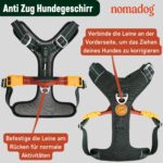 Nomadog Trailblazer Anti-Zug Hundegeschirr Grösse L – Gepolstert & Reflektierend für grosse Hunde – Bild 6