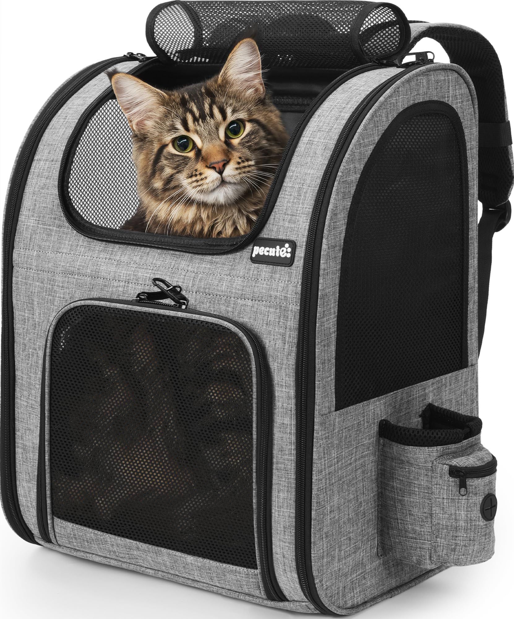 Pecute Haustier-Rucksack XL für Katzen & Hunde bis 10 kg – Atmungsaktiv & Wasserdicht