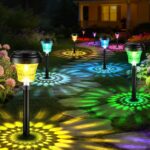 FOMYHEARD 8er Set Solarleuchten Garten – Warmweiss & RGB Farbwechsel, IP65 Wasserdicht – Bild 2