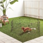 Amazon Basics Achteckiges Laufgehege 61 cm – Faltbarer Freilauf mit Tür für Kleine Hunde – Bild 5
