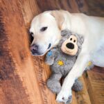 KONG Wild Knots Bär – Interaktives Spielzeug mit inneren Seilknoten für sehr grosse Hunde – Bild 2