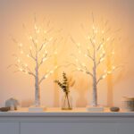EAMBRITE 2er Set LED Lichterbaum 60cm mit 24 Warmweiss LEDs – Dekorative Lichterzweige für Zuhause – Bild 2