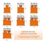 Aisbo Ganzjahresdecke 200x220 cm – Steppbettdecke mit Mikrofaser & Polyester-Füllung – Bild 2