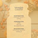 Yankee Candle Autumn Wreath Duftkerze Gross – 150 Stunden Brenndauer für Herbststimmung – Bild 4