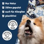 QCHEFS Adventskalender Hund Classic 2026 – 26 Türchen Zahnpflege für alle Hunde – Bild 3
