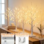 DELICHTER 4er Set Lichterbaum 60 cm mit 24 LEDs – Warmweiss Dekozweige für Innen – Bild 5