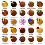 Corasol Premium Honig-Weltreise Adventskalender 2026 – 24 edle Sorten weltweit – Bild 5
