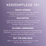 Yankee Candle Duftkerze Dried Lavender & Oak – 150h Brenndauer im Glastiegel – Bild 7