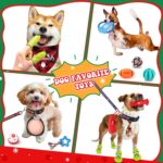 iZoeL Adventskalender 2026 für Hunde – 24 Spielzeuge & Zubehör Weihnachtsgeschenk – Bild 4