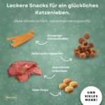 BOXILAND® Katzen-Adventskalender 2026 – 24 Snacks in 16 Sorten für tägliche Verwöhnmomente – Bild 5