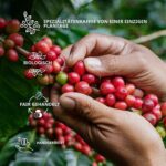 GROWER'S CUP Kaffee-Adventskalender 2026 – 25 Spezialitätenkaffees aus aller Welt – Bild 6