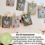 Bio Saatgut Adventskalender 2026 – 24 Demeter Gemüse Samen mit DIY Zubehör – Bild 4