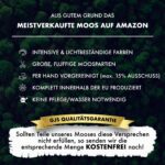 GJS Islandmoos 1 kg dunkelgrün – Konserviertes Naturmoos für Deko & Bastelprojekte – Bild 4