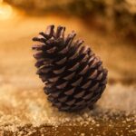 TRIXES 15er Set Natur Tannenzapfen 12cm – Rustikale Weihnachtsdeko für Kränze & Arrangements – Bild 7