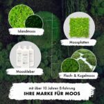 GJS Islandmoos 1 kg laubgrün – Konserviertes Naturmoos für Deko & kreatives Basteln – Bild 2