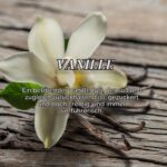 Yankee Candle Vanilla Duftkerze groß – 150 Std. Brenndauer im Glas – Bild 4