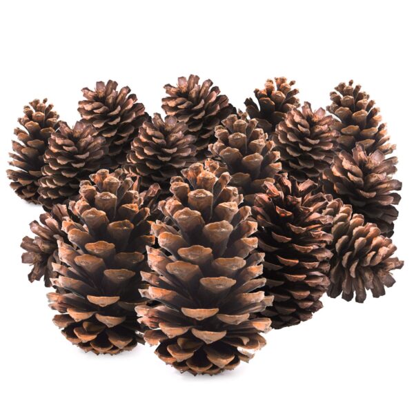 TRIXES 15er Set Natur Tannenzapfen 12cm – Rustikale Weihnachtsdeko für Kränze & Arrangements
