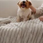 BEDSURE Kuscheldecke 150x200 cm Beige – Fleecedecke Sofadecke Wolldecke Waschbar – Bild 9