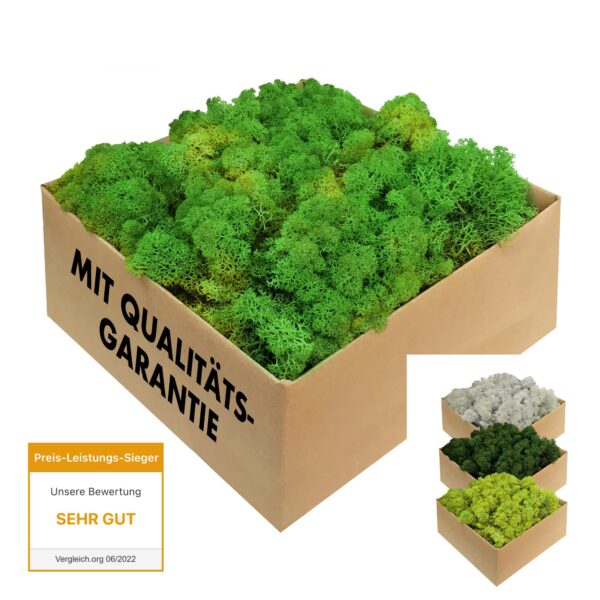 GJS Islandmoos 1 kg laubgrün – Konserviertes Naturmoos für Deko & kreatives Basteln