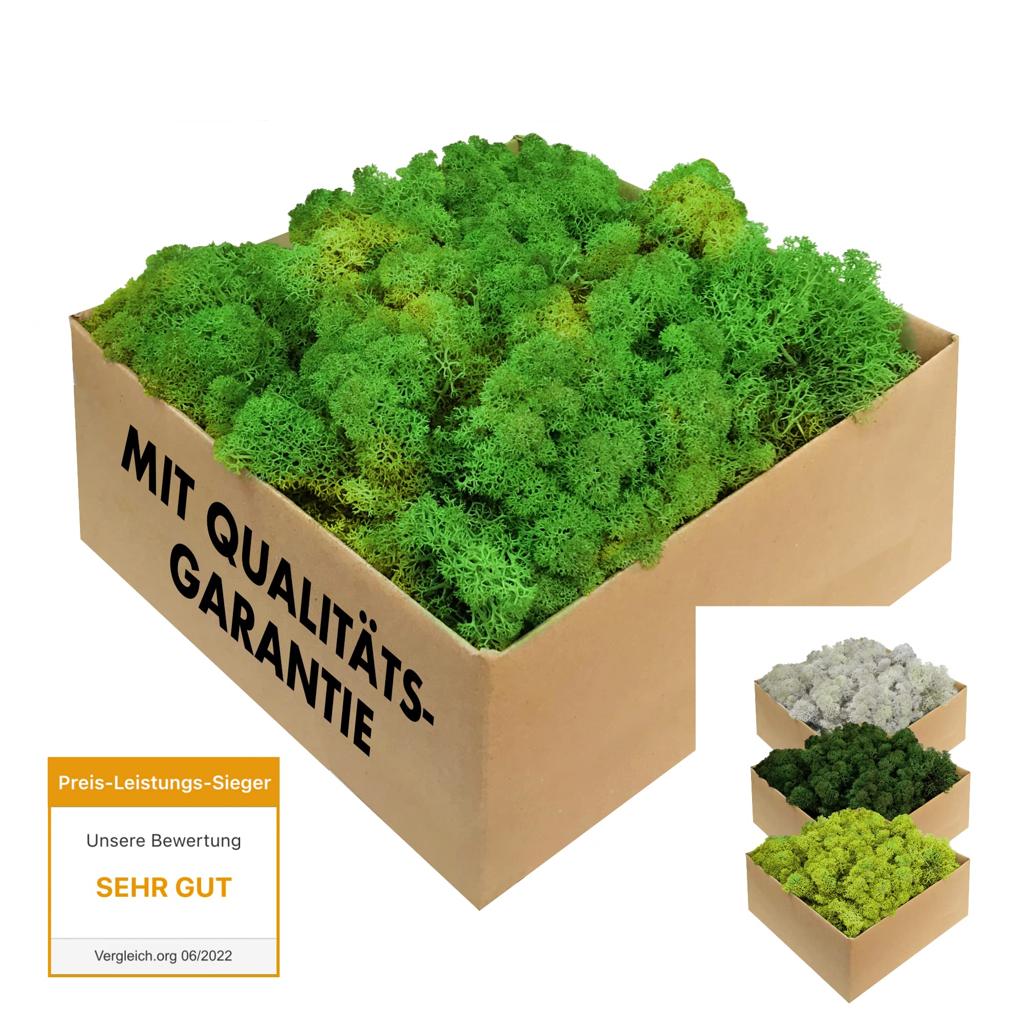 GJS Islandmoos 1 kg laubgrün – Konserviertes Naturmoos für Deko & kreatives Basteln