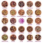 Corasol Premium Früchtetee-Adventskalender 2026 – 24 Gourmet-Teesorten im Geschenkset – Bild 5