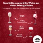 BOXILAND® Wein Adventskalender 2026 – 24 Weine à 0,25 l Rot, Weiss & Rosé – Bild 5
