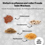 BOXILAND® Saatgut Adventskalender 2026 – 24 Sorten Gemüse, Kräuter & Obst für Hobbygärtner – Bild 5