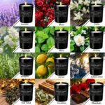 KIYTARBOO Duftkerzen-Geschenkset 12er – Sojawachs mit 180 Std. Brenndauer – Bild 2