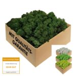 GJS Islandmoos 1 kg dunkelgrün – Konserviertes Naturmoos für Deko & Bastelprojekte