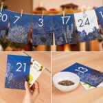 Saatgut Adventskalender 2026 – 24 Blumensamen zum Selbermachen von OwnGrown – Bild 3
