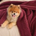 BEDSURE Sherpa Kuscheldecke 150x200 cm – Flauschige Wolldecke in Rot für Couch & Bett – Bild 4